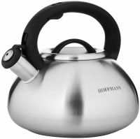 Чайник 3,3л НМ 55110 нерж