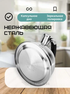 Чайник 3,3л НМ5549 нерж.