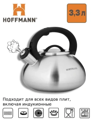 Чайник 3,3л НМ 55110 нерж