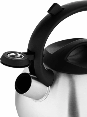 Чайник 2,3л НМ55119 нерж.