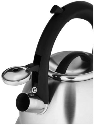 Чайник 3л НМ55172 нерж.