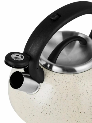 Чайник 3,3л НМ55217 нерж беж.