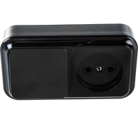 Блок ОП В-РЦ-521 черн.(1выкл+роз) Пралеска