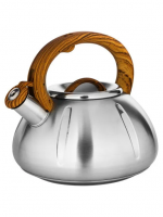 Чайник 3л НМ55170 нерж.