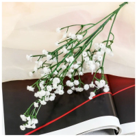 Цвета искусств.Ветка гипсофилы 4301312