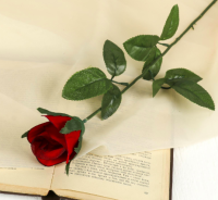 Цветы Роза 63см красн. 482691