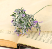 Букет Цветной 15см 1653792