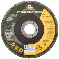 Круг лепестковый торцевой плоский 125мм Р100 39877М