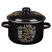 Кастрюля 4л ветка оливы 894-548