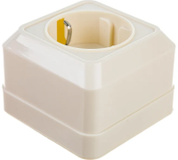 Розетка 1ОП с/з сл.кость Олимп О0028