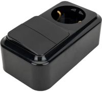 Блок ОП В-РЦ-529 черн.(2выкл+роз с/з) Пралеска