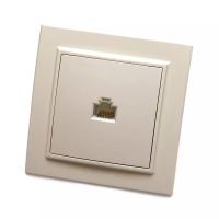 Розетка комп.Эрна PSТ00-9007-02 сл/кость