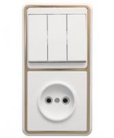 Блок БКВР-039"З" СП (розетка+3-кл.выкл)