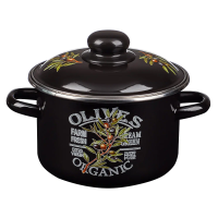Кастрюля 3л Ветка оливы эмаль индукция 894-547