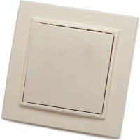 Выключатель Эрна 1СП PSW10-9003-02 сл/кость