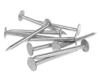 Гвозди толевые евро оцинк. 2,8х25 (100г) Стройбат