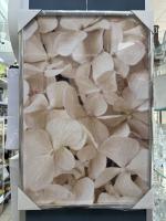 Картина 22ПР 40*60см ассорт.