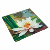 Весы напольн.Василиса ВА-4011 180кг