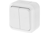 Выключатель 2ОП РА16-224 6А бел. аква Пралеска