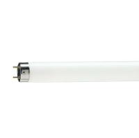 Лампа Camelion FT5 6W 6500К