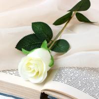 Цвета искусств. Бутончик Розы белый 4738234