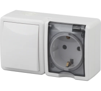 Блок Эксперт ОП роз+выкл IP54 16А+10А 11-7401-01