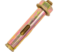 Анкерный болт с гайкой 10*60