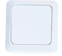 Выключатель 1ОП бел. Олимп О0021