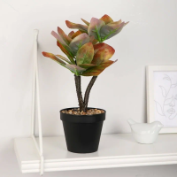 Бонсай в горшке Кордилина колор 10084583