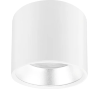 Подсветка Эра OL8 GX53 WН/SL бел/серебро