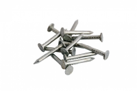 Гвозди толевые оцинк. 2,5х40 (100г)