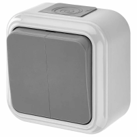 Выключатель 2ОП А56-224 аква Пралеска сер.