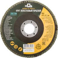Круг лепестковый торцевой плоский 125мм Р60 39875М