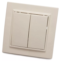 Выключатель Эрна 2СП PSW10-9004-02 сл/кость