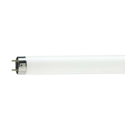 Лампа Camelion FT5 6W 6500К
