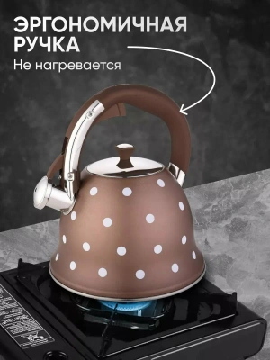 Чайник 3л Келли -4529 нерж