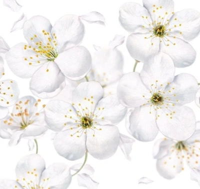 Кух.фартук "Яблоневый цвет" 3м*0,60см