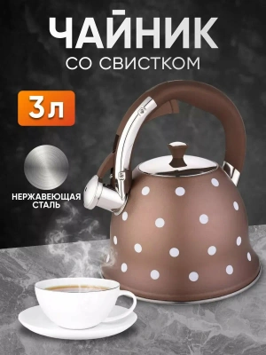 Чайник 3л Келли -4529 нерж