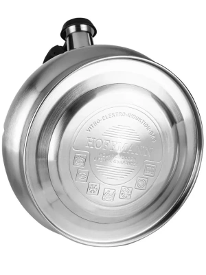 Чайник 3л нерж.5568/1