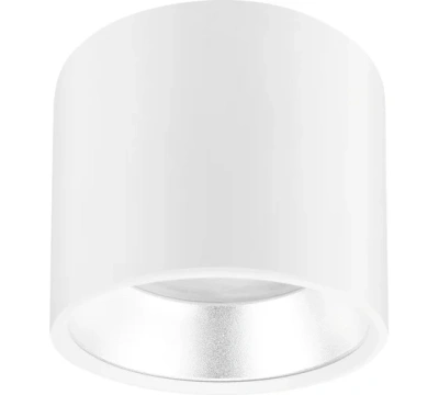 Подсветка Эра OL8 GX53 WН/SL бел/серебро