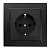 Розетка 1СП Эрна PSТ16-9010-03 с/ш черн. евро