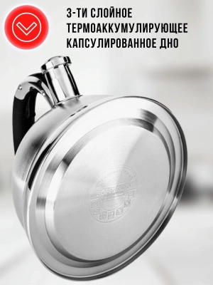 Чайник 4,8л НМ5548 нерж