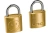 Замки висячие Apecs PDB-20-20-Blister (2Locks+3Keys)