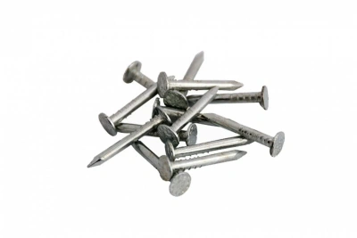 Гвозди толевые оцинк. 2,5х40 (100г)
