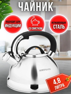 Чайник 4,8л НМ5548 нерж