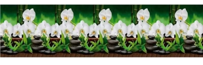 Кух.фартук АБС "Белая орхидея" 3м*0,60см